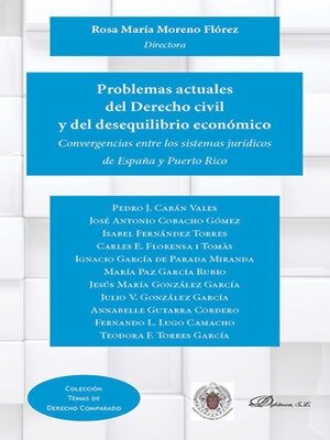 cover image of Problemas actuales del Derecho civil y del desequilibrio económico. Convergencias entre los sistemas jurídicos de España y Puerto Rico